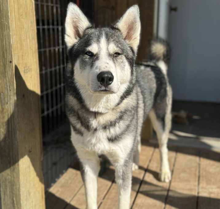 Photo of Coby