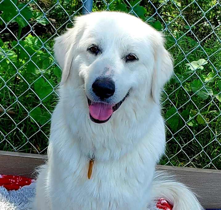 Photo of Rye aka Suki
