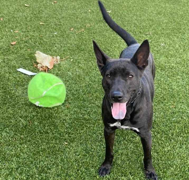 Photo of Zeke