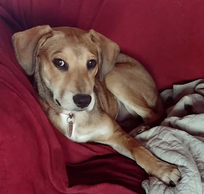 Photo of Buzz