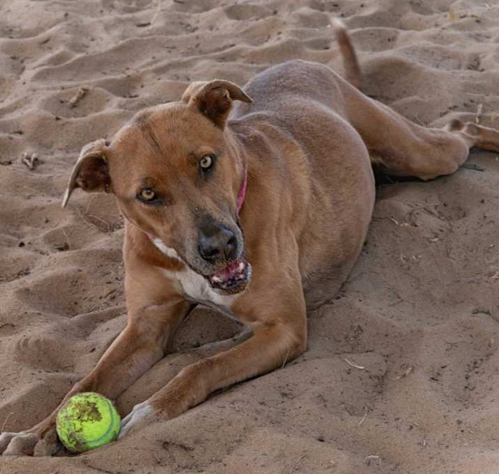 Photo of Phoebe