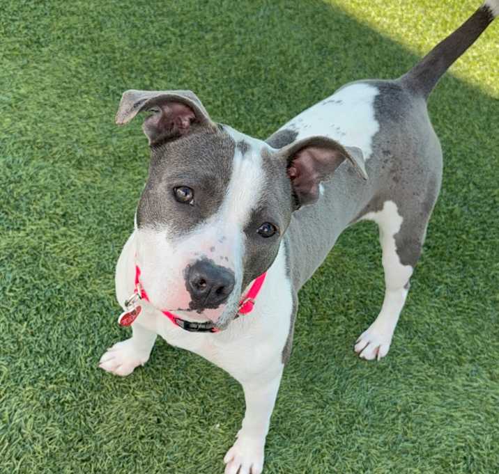 Photo of Olla A2174675
