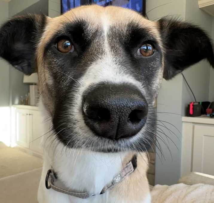 Photo of Genevieve
