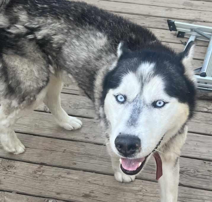 Photo of Goober