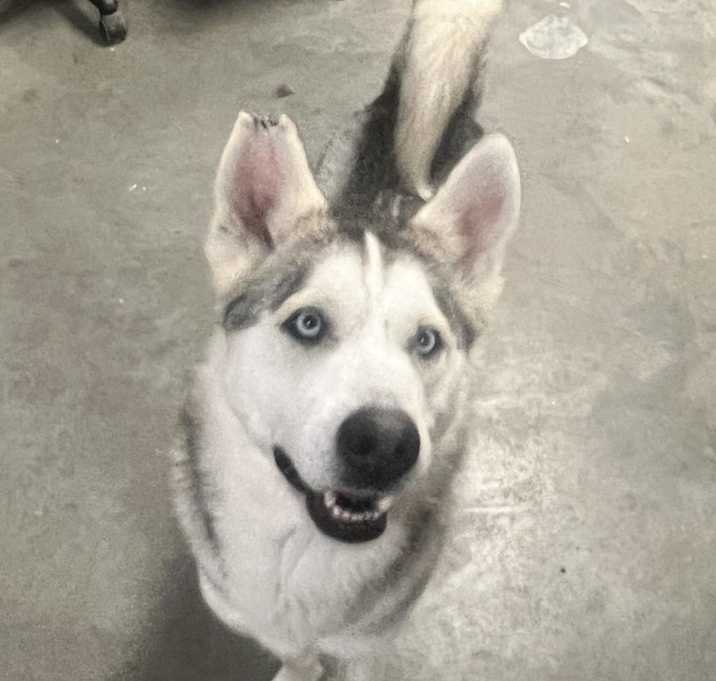 Photo of Max