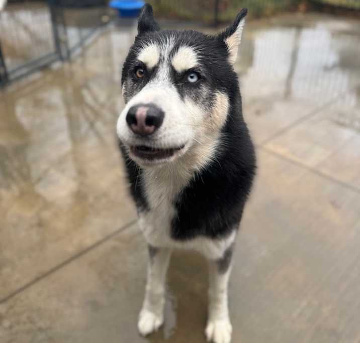 Photo of Zeke