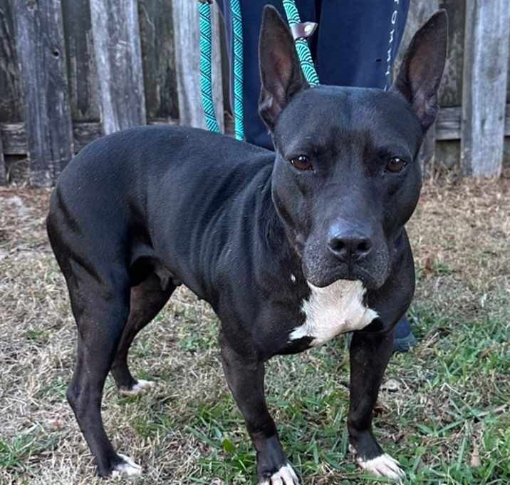 Photo of Ginny