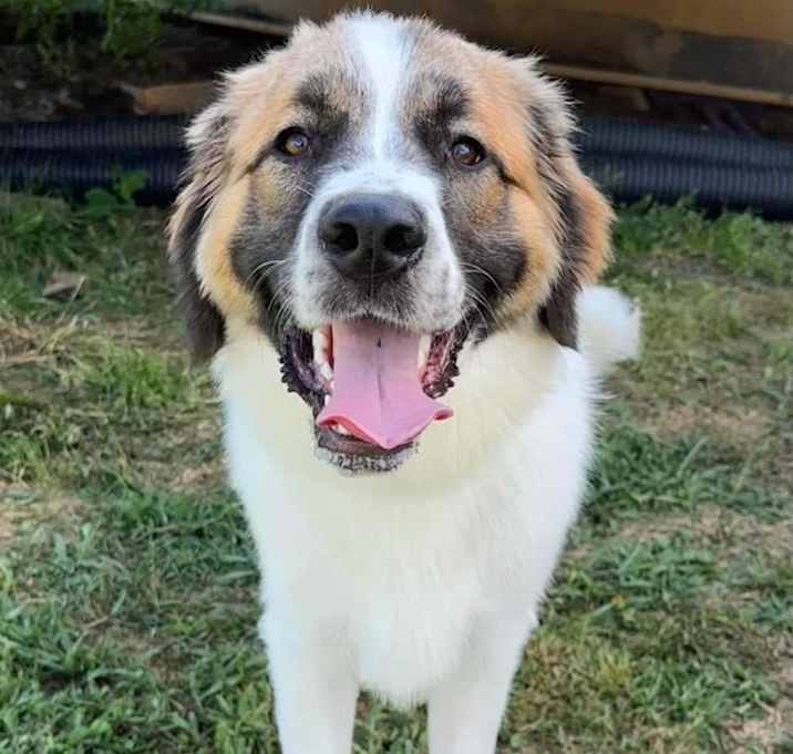 Photo of Jada