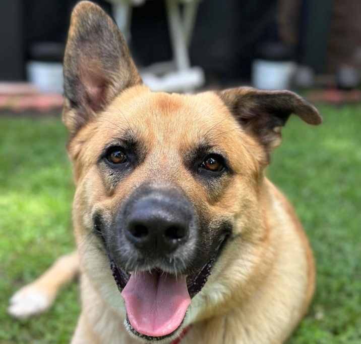 Photo of Axel