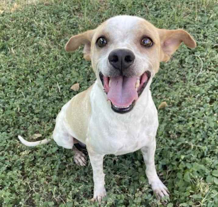 Photo of Marbles