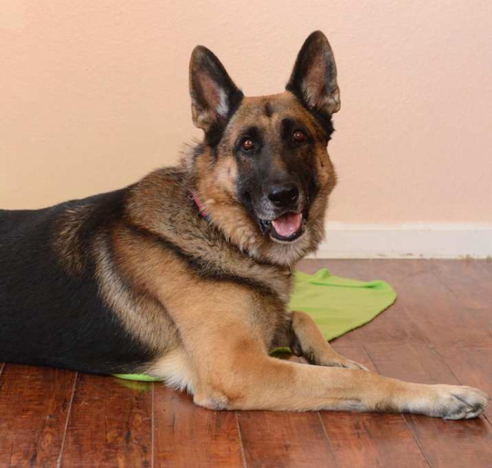 Photo of Lenny