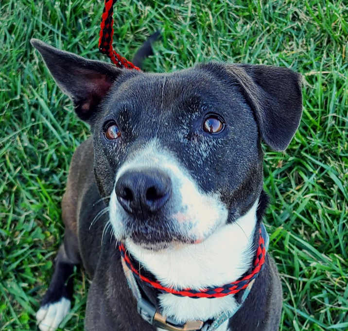 Photo of Daisey