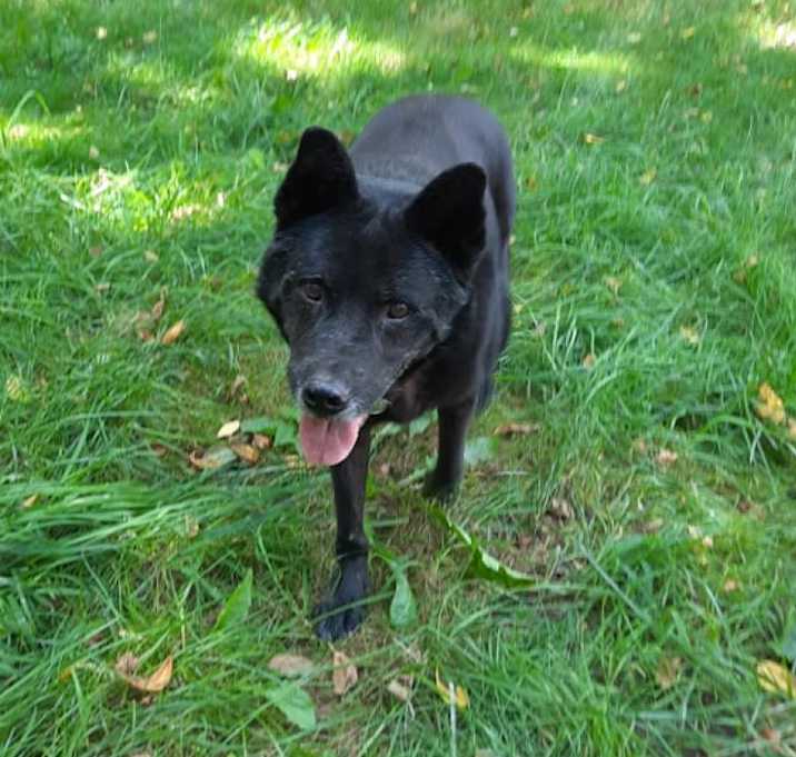 Photo of Mia