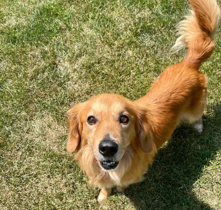 Photo of Monty