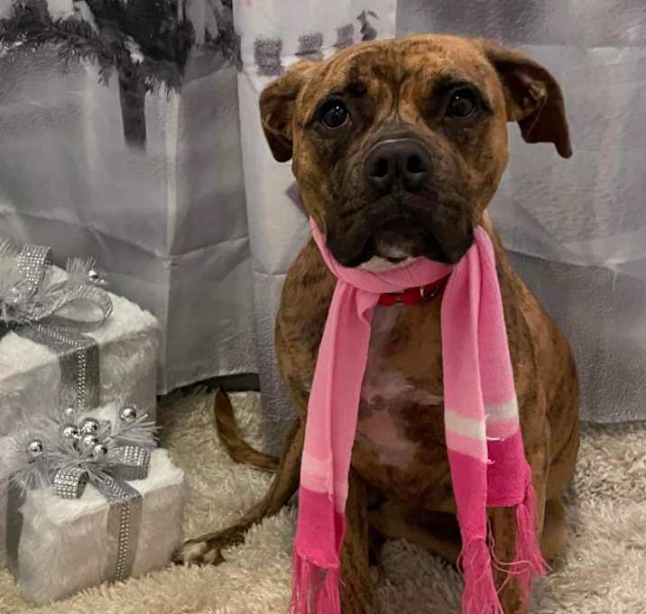 Photo of Lilly