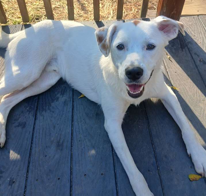 Photo of Dudley