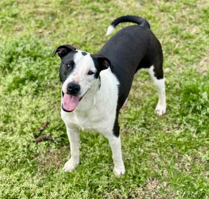 Photo of Dottie