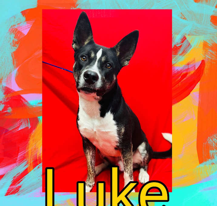 Photo of Luke
