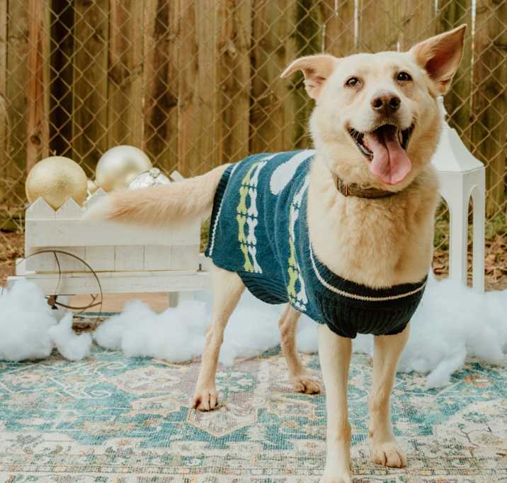 Photo of Polly