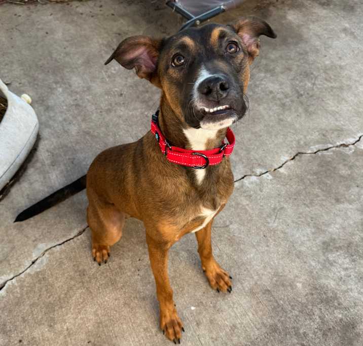 Photo of Sergeant Bosco