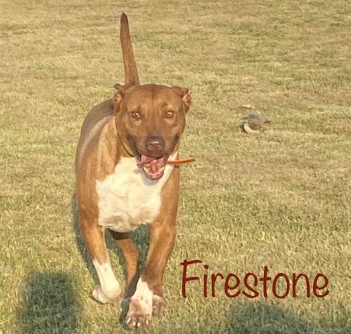 Photo of Firestone