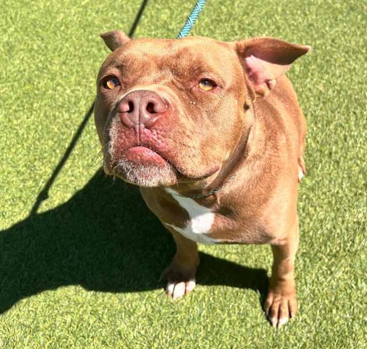 Photo of Canelo