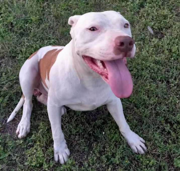 Photo of Knox