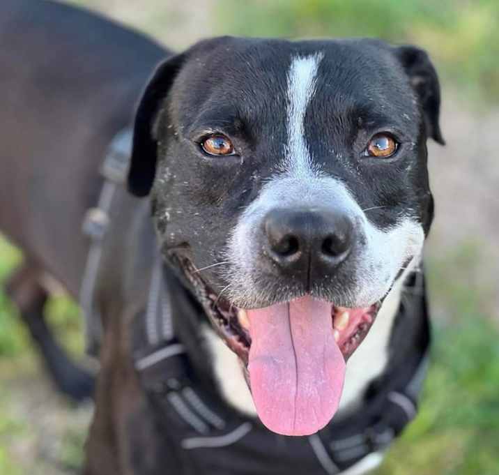 Photo of Hugo