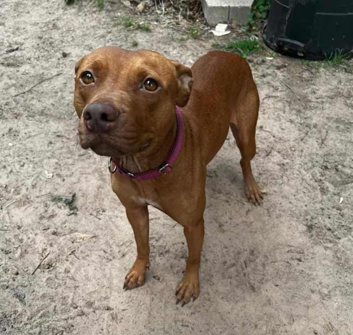 Photo of Ruby