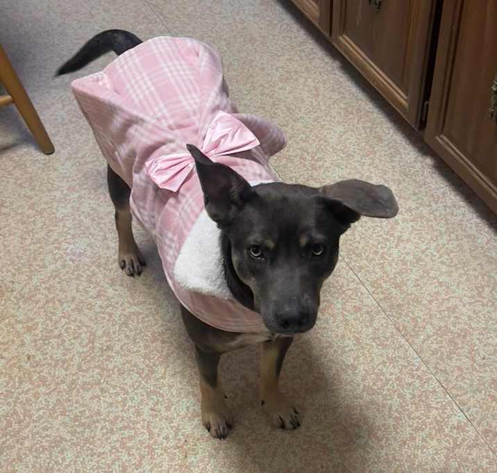 Photo of Lala