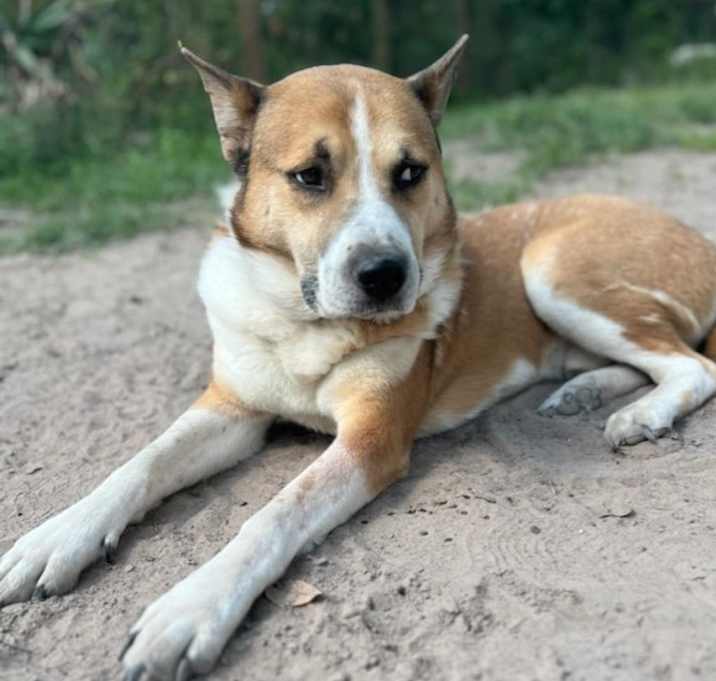 Photo of Thunder