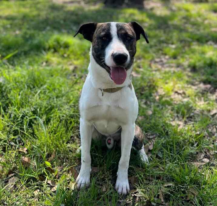 Photo of Emilio aka Miles 
