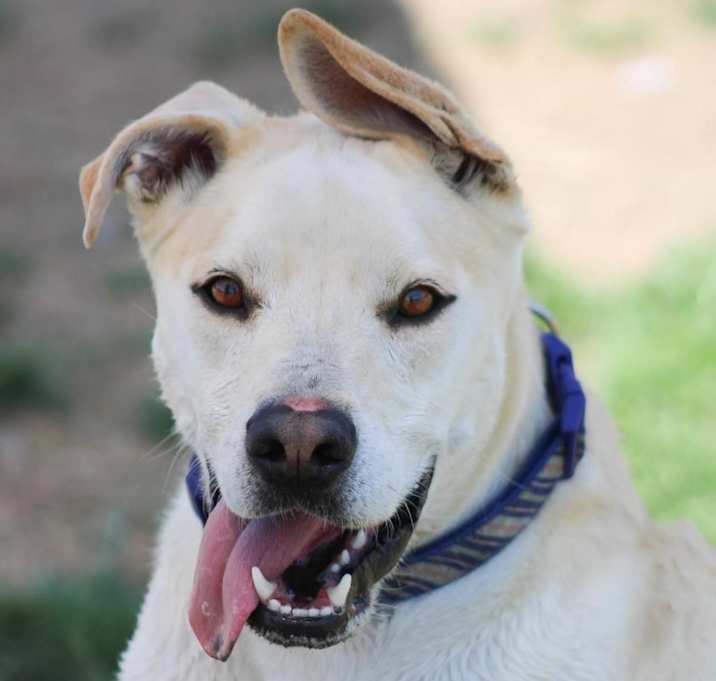 Photo of Zeus #1