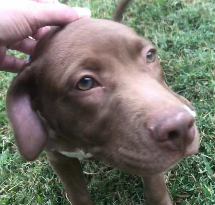 Photo of Jet