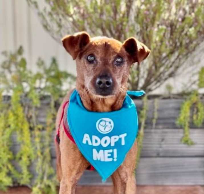 Photo of Rudolf (aka Rudy)