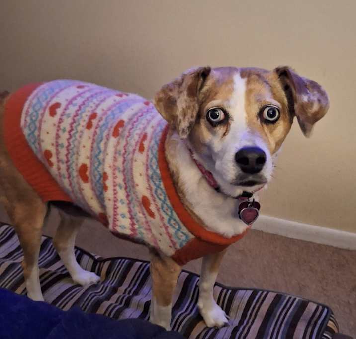 Photo of Sofie