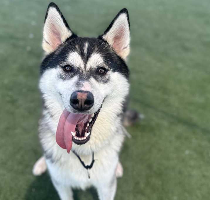 Photo of Fargo