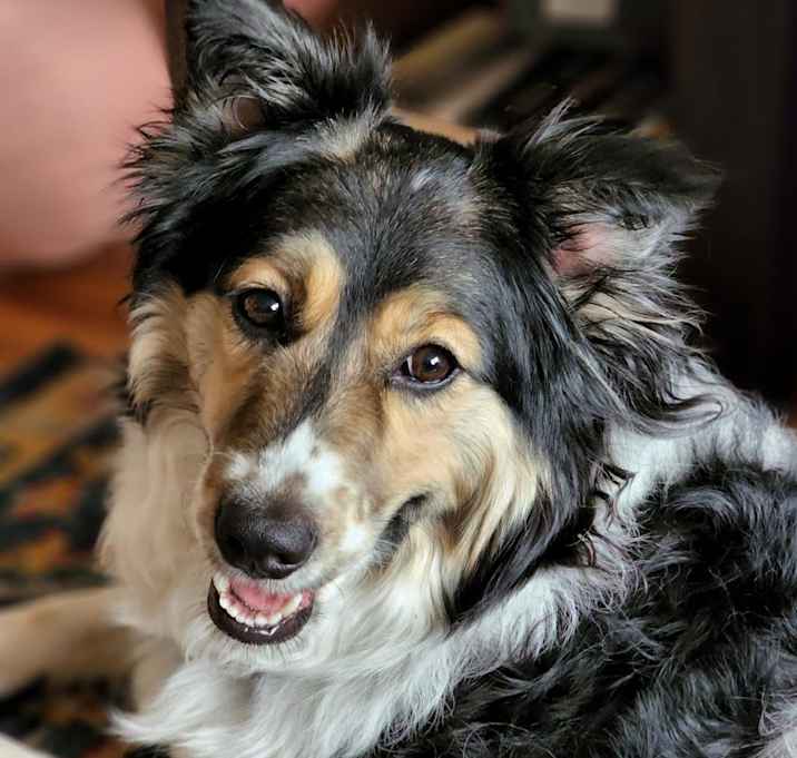 Photo of Allie
