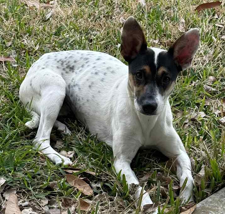 Photo of Tina