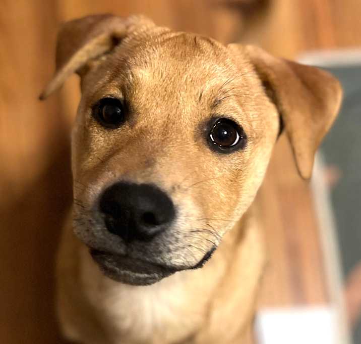 Photo of Miss Kelce