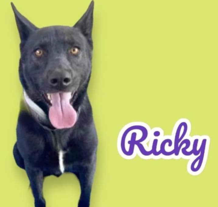 Photo of Ricky