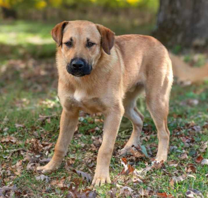 Photo of Maxwell