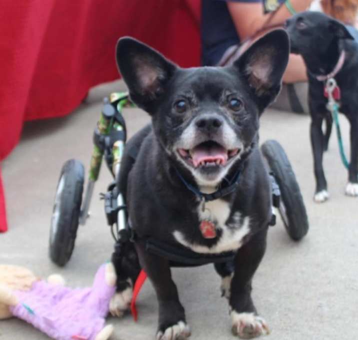 Photo of Tux