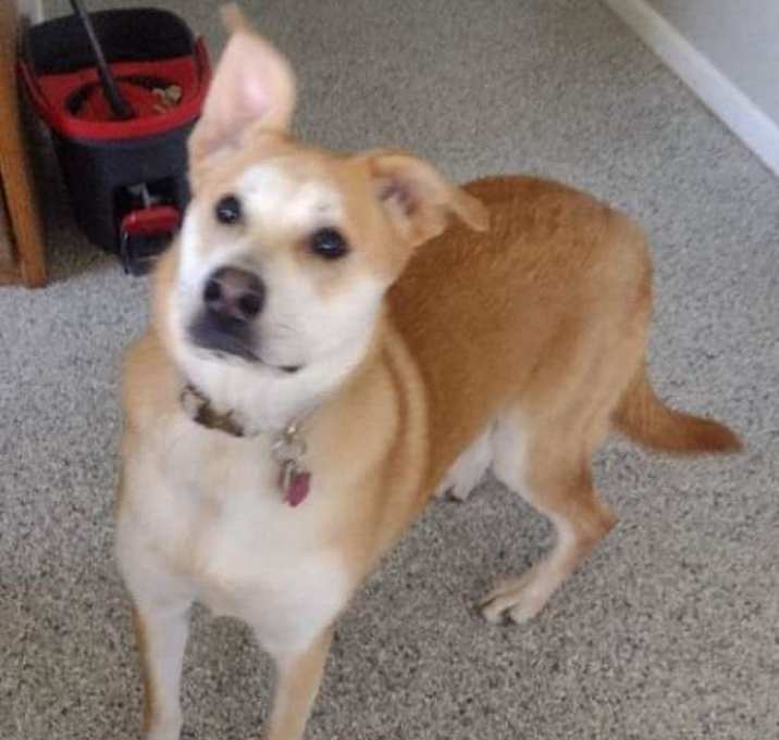 Photo of Lizzie