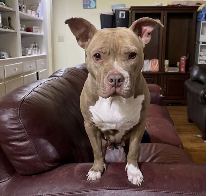 Photo of Sasha
