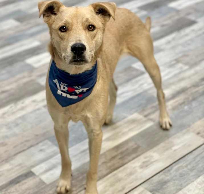 Photo of Taz