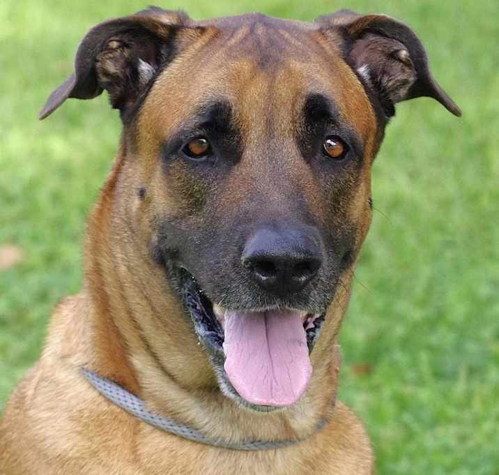 Photo of Rocky