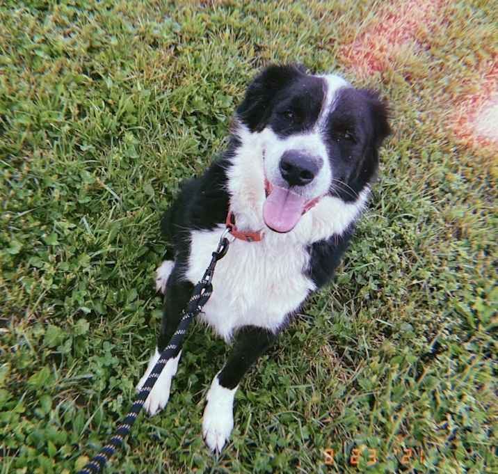 Photo of Jethro