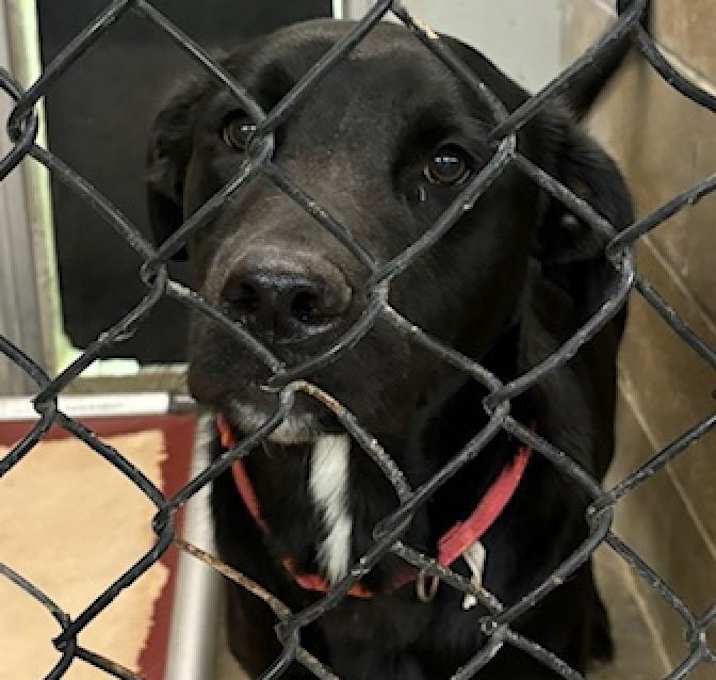 Photo of Zeus