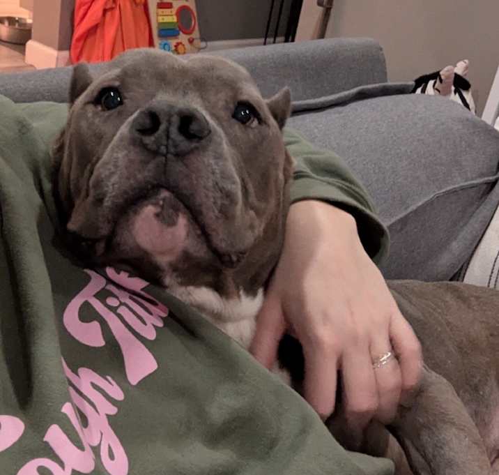 Photo of Tyson